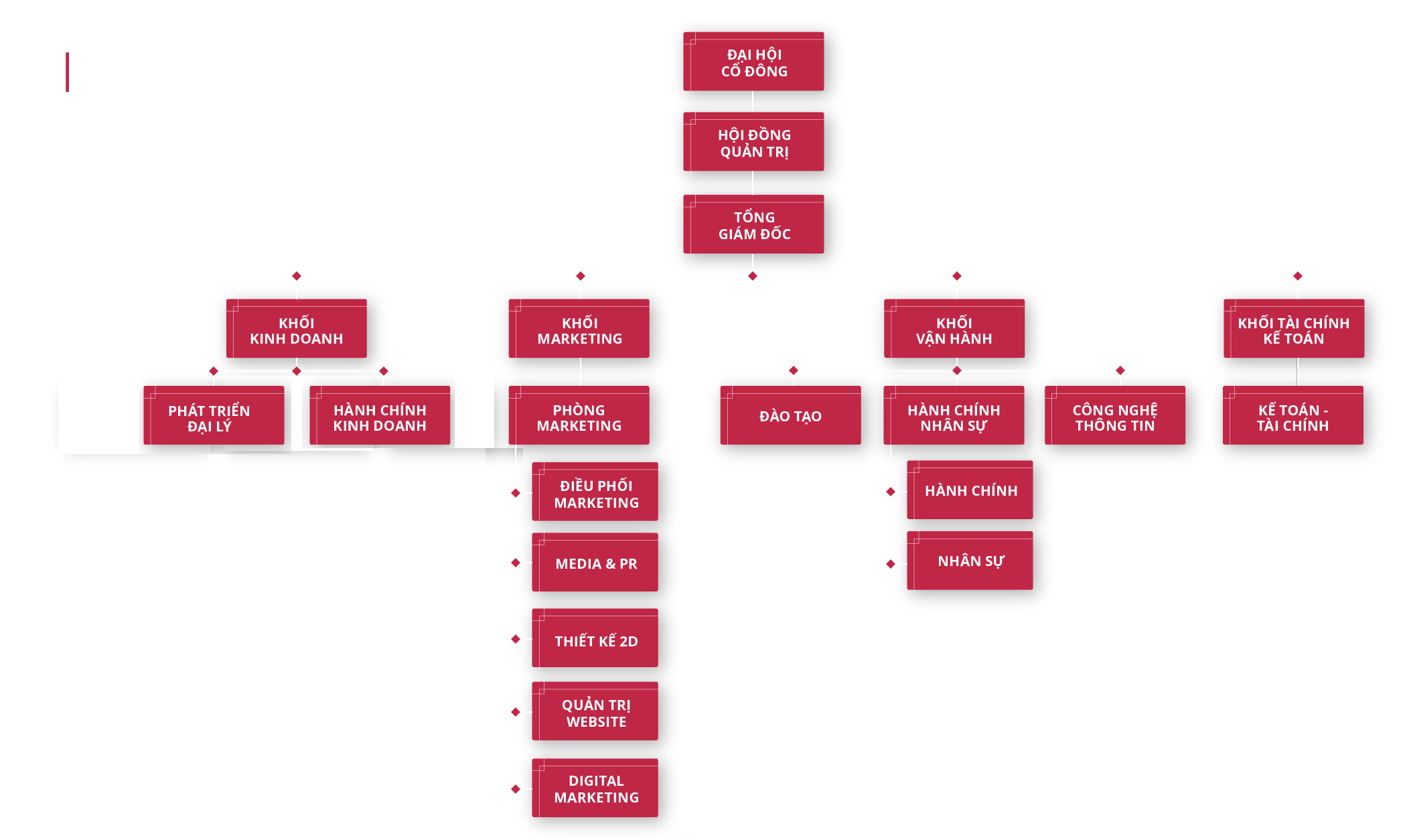 Sơ đồ tổ chức